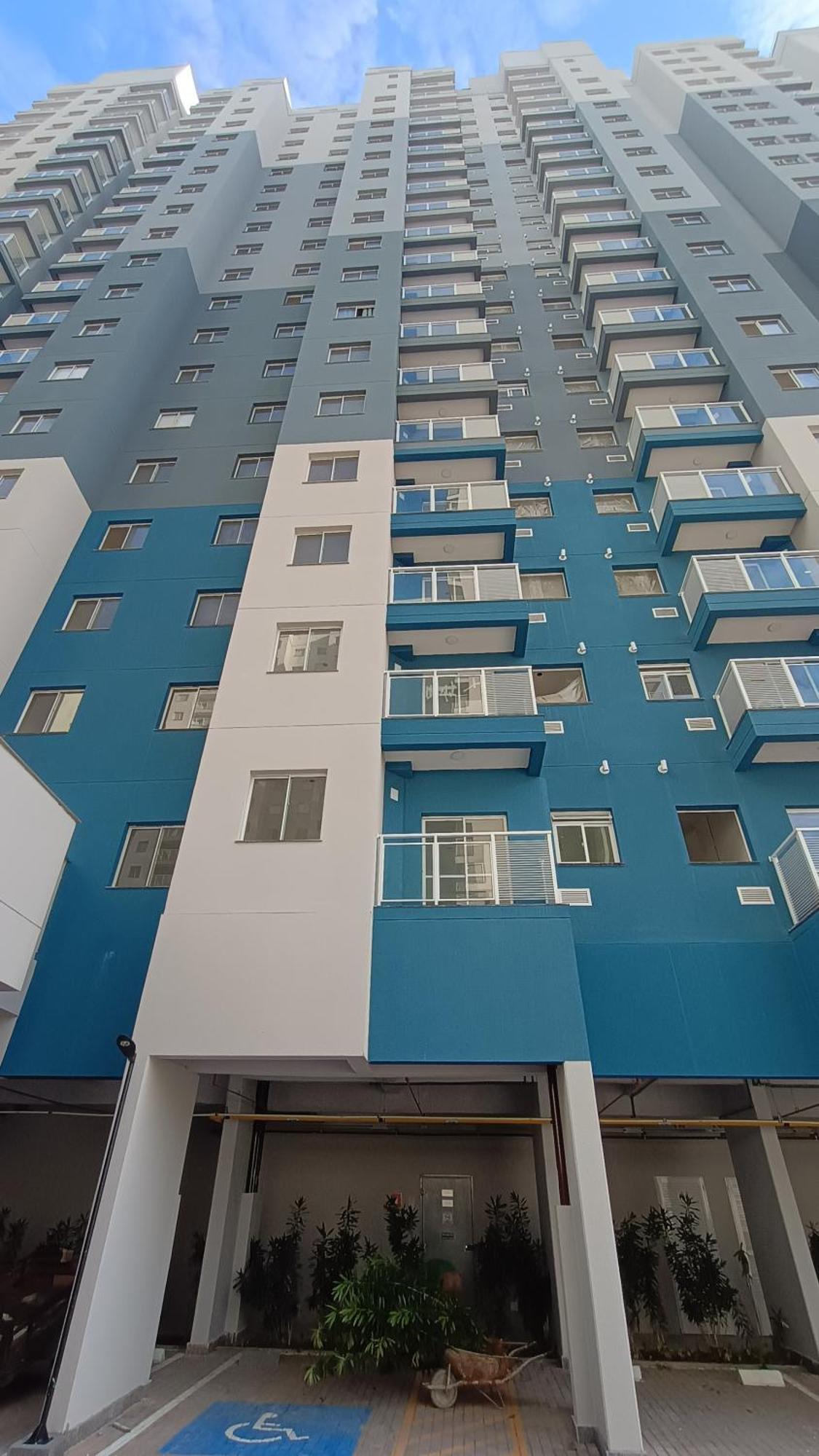 Housecat No Centro Do *